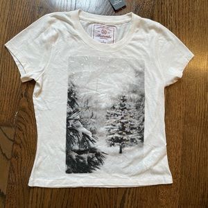 Abercrombie and Fitch shrunken t with GRAPHIC